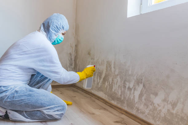 Bathroom Mold Removal assessment in Apollo Beach bathroom